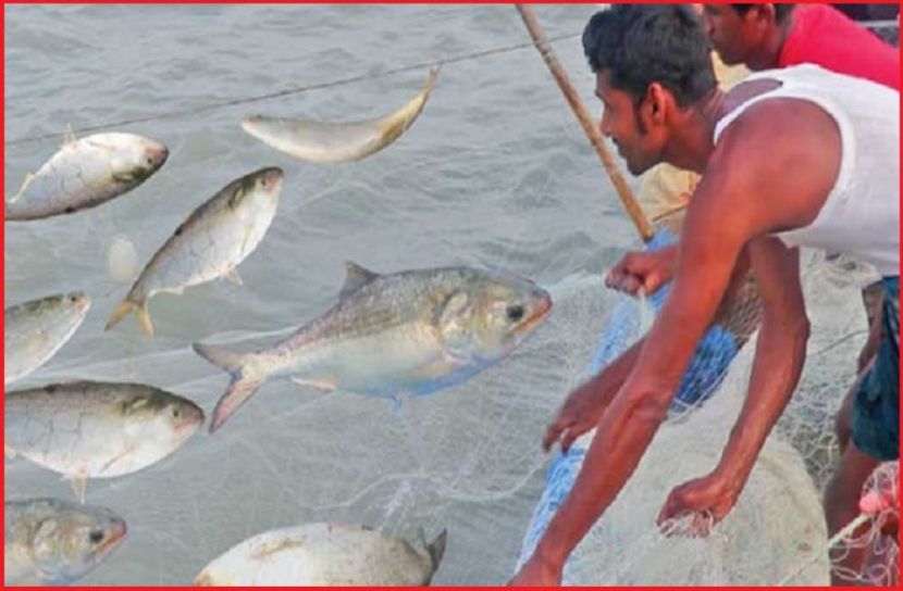 ছবি : সংগৃহিত