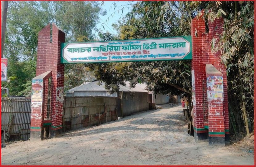 ছবি : সংগৃহিত