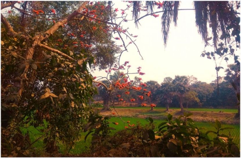 ছবি : সংগৃহিত
