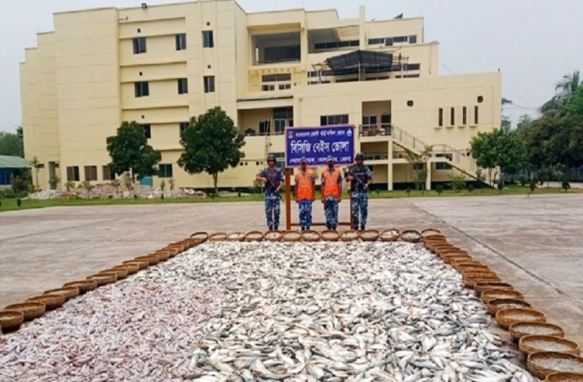 ১২৬ মণ জব্দ মাছ গেলো এতিমখানায়