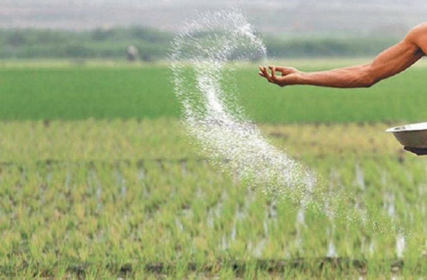 পীরগঞ্জ কৃষকদের সার ও বীজ বিতরণ