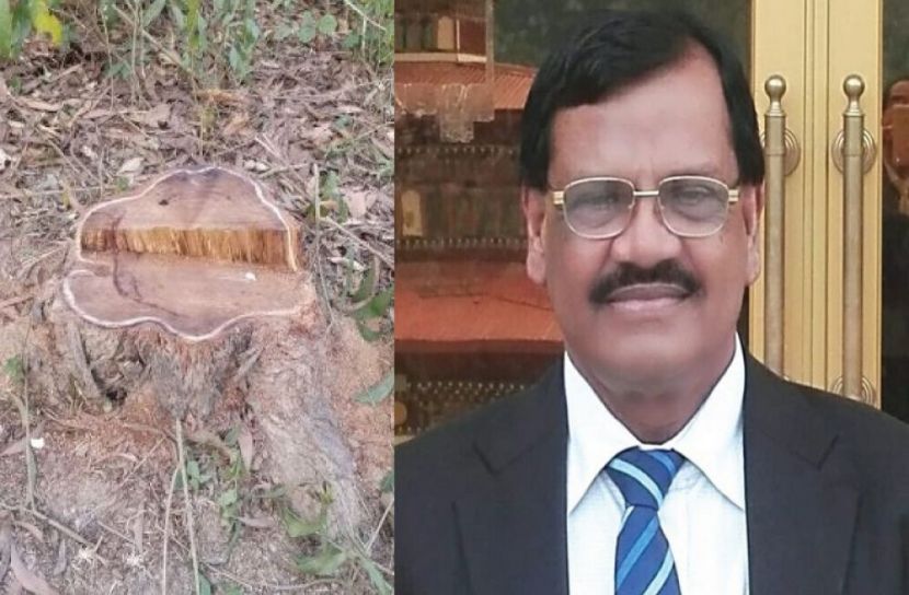 বনভূমি দখলের পাঁয়তারায় আসপাডা পরিচালক