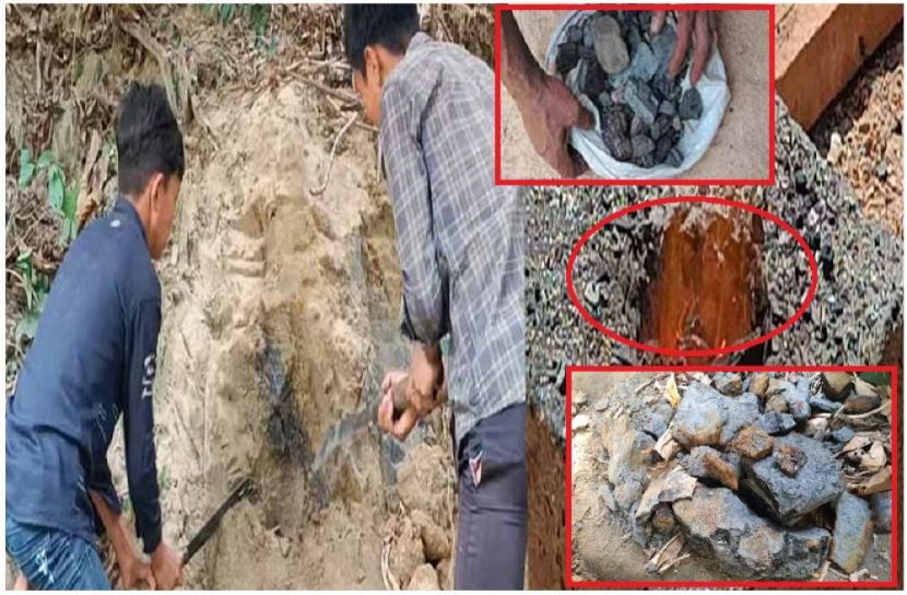 ছবি : সংগৃহিত