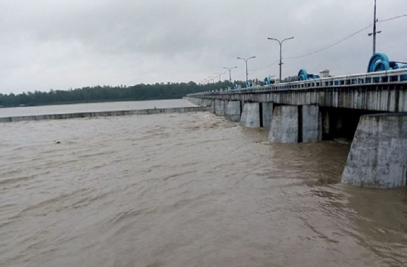 সংগৃহীত