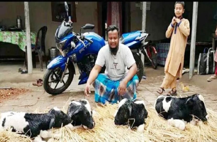 সংগৃহীত