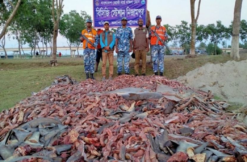 সংগৃহীত