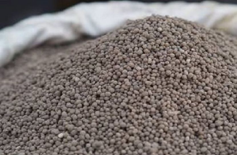 আমদানি করা হচ্ছে ডিএপি সার