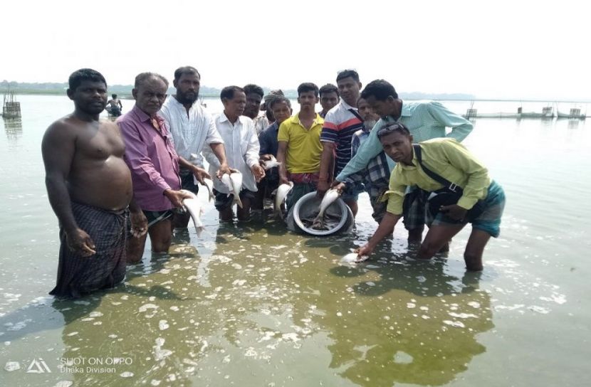 বোয়ালমারীতে মৎস্য চাষ প্রকল্পের উদ্বোধন