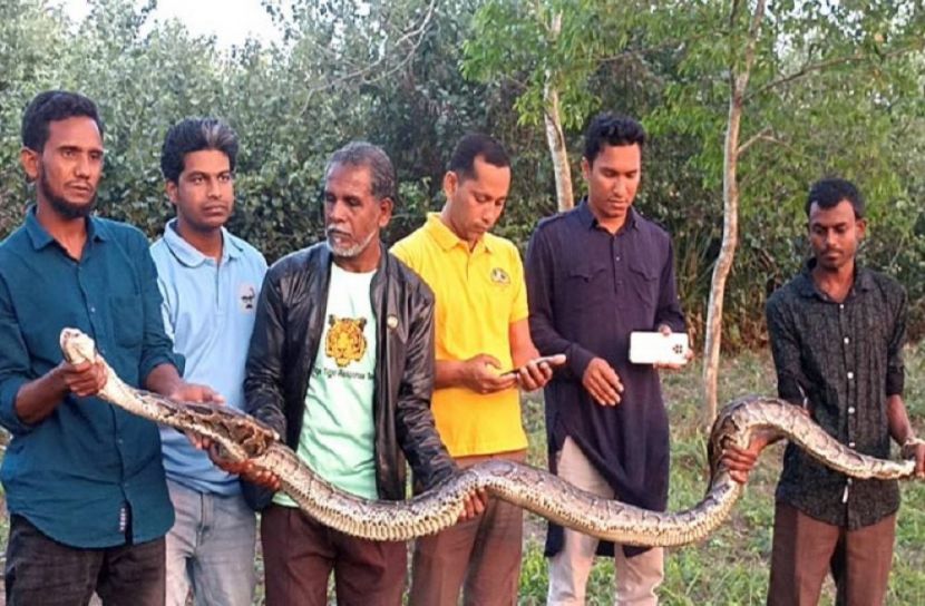 সংগৃহীত