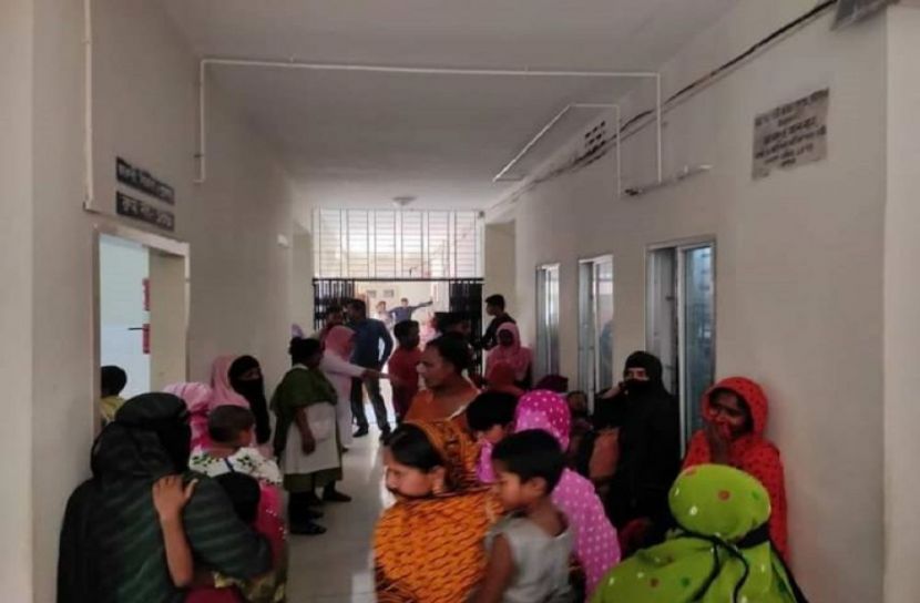 পাবনায় কুকুরের কামড়ে হাসপাতালে শতাধিক