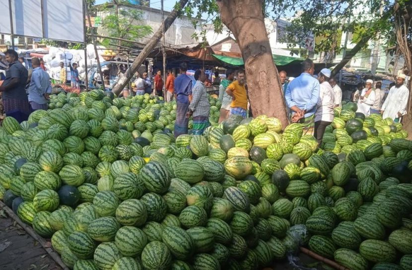 মুন্সীগঞ্জে কোটি টাকার তরমুজ বিক্রি