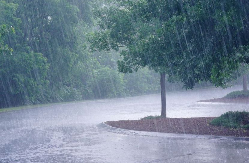 ৮ বিভাগে বৃষ্টির পূর্বাভাস
