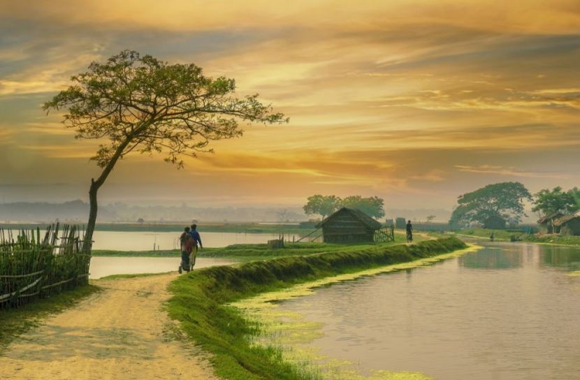 ছবি-সংগৃহীত