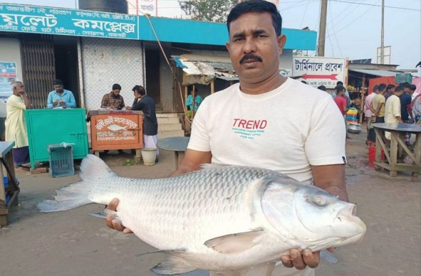 সংগৃহীত