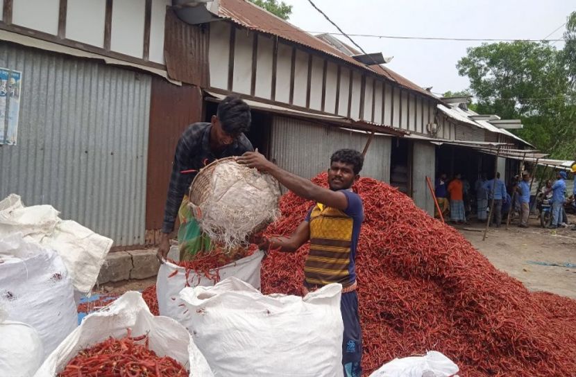 মুন্সীগঞ্জে একদিনে কোটি টাকার মরিচ বিক্রি