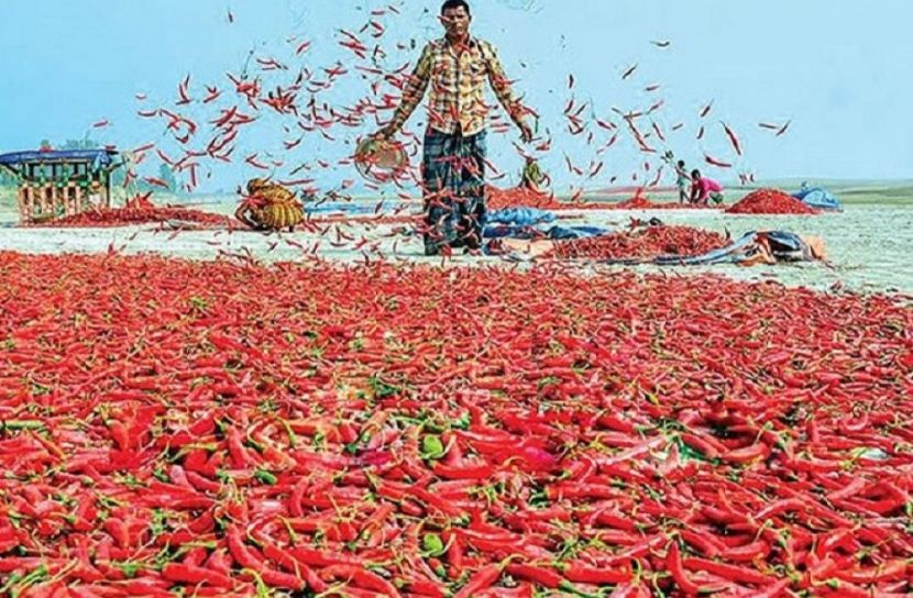 ছবি : সংগৃহিত