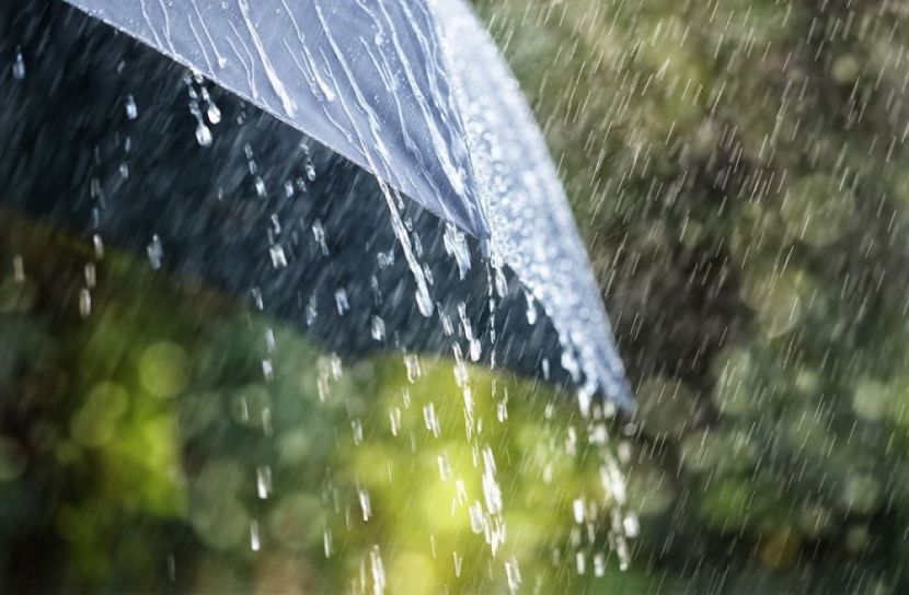 প্রতীকী ছবি