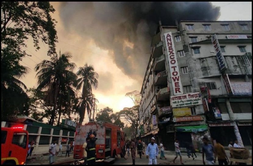 ছবি : সংগৃহিত