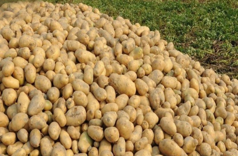 ছবি-সংগৃহীত