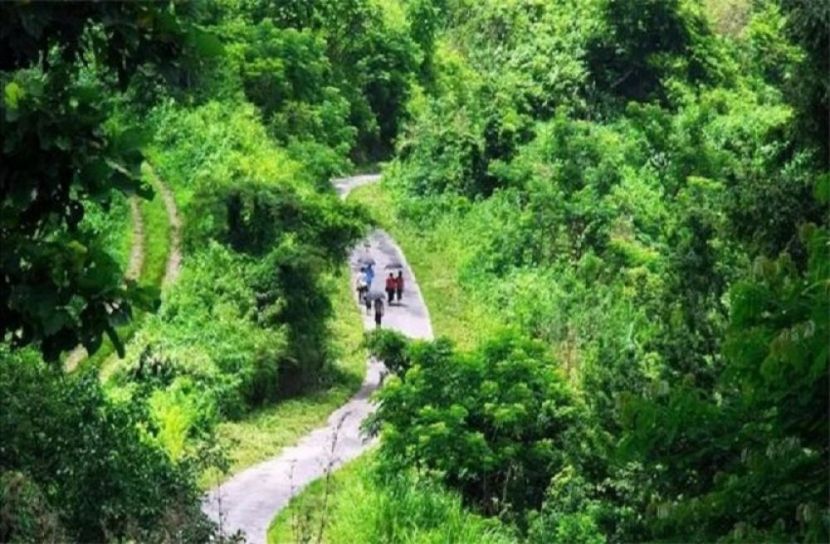 বান্দরবানে গোলাগুলিতে নিহত ৮