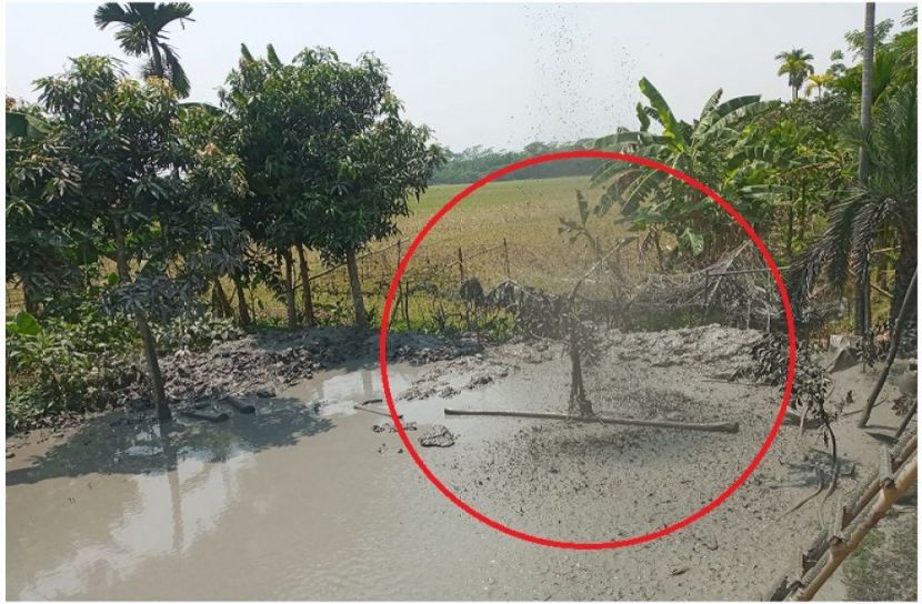 ছবি : সংগৃহিত