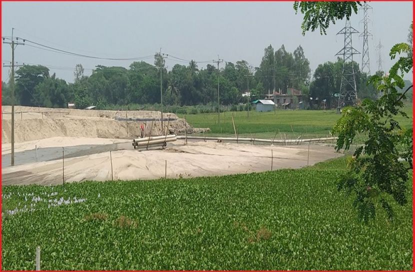ছবি : সংগৃহিত