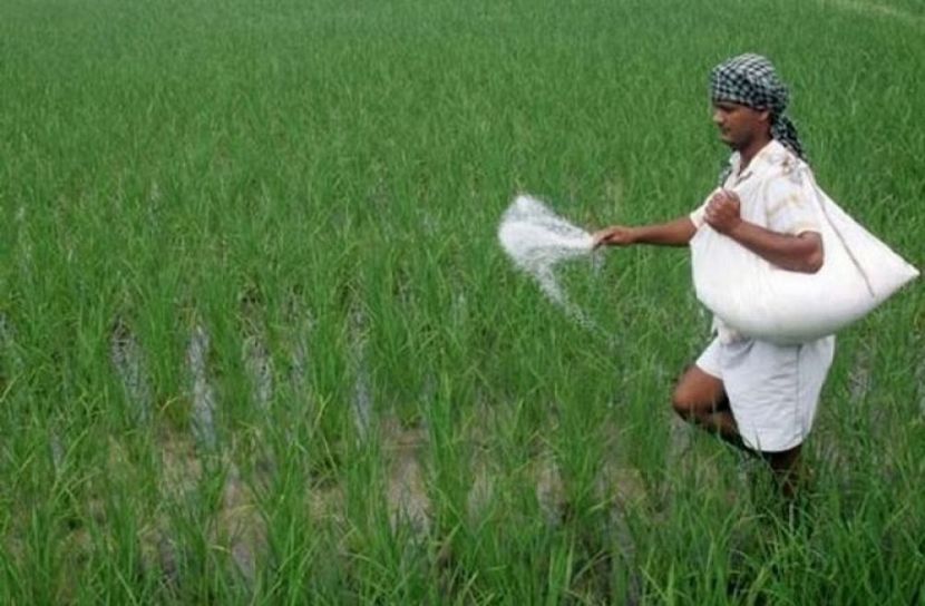 বাড়ল সারের দাম