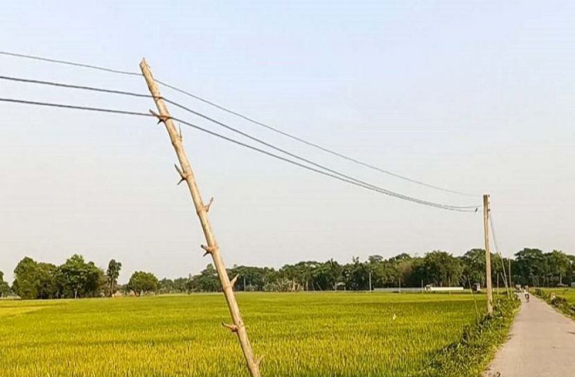 বাঁশের খুঁটিতে পিডিবির বিদ্যুৎ লাইন!