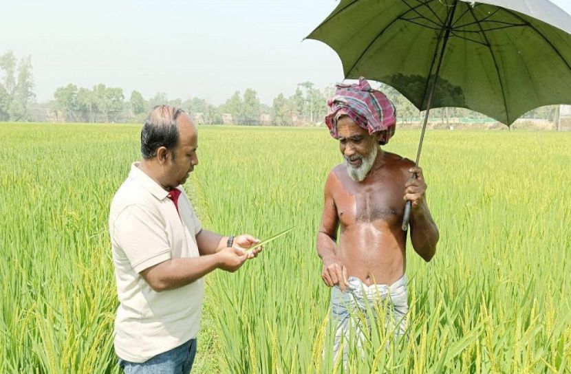 ফসলের মাঠে কৃষকের প্রকৃত বন্ধু সাইদুল ইসলাম