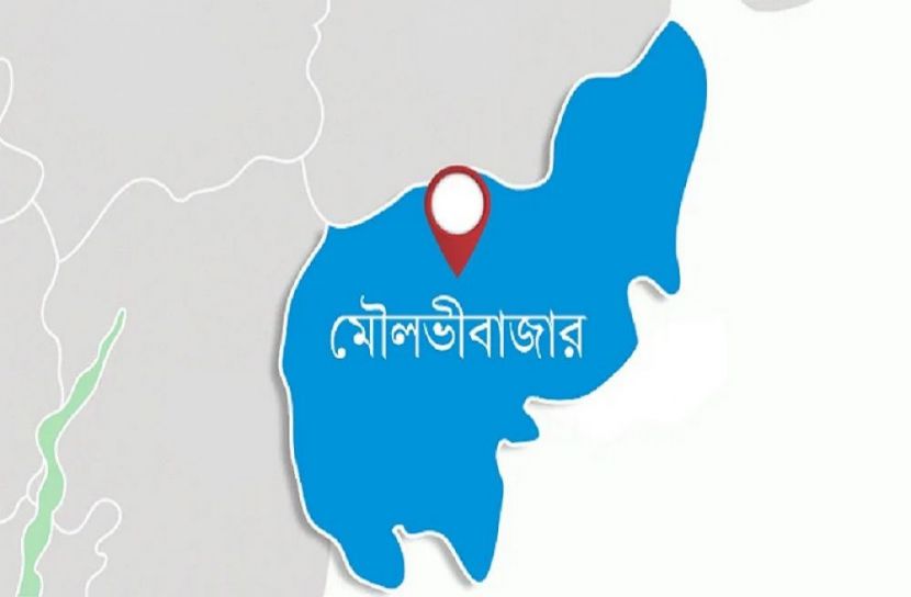 ছবি-সংগৃহীত
