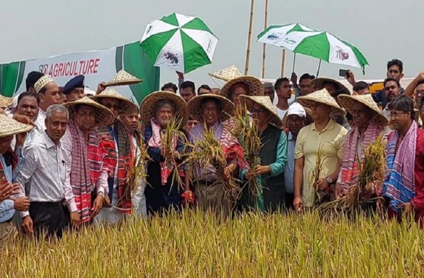 ছবি-সংগৃহীত