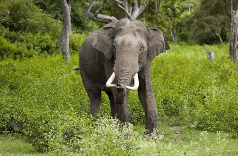 প্রতীকী ছবি
