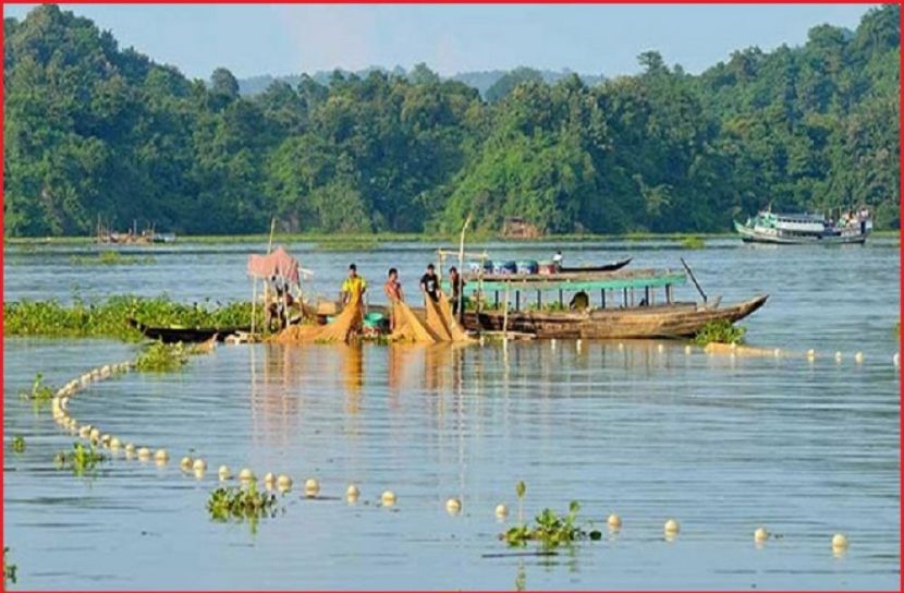 ছবি : সংগৃহিত