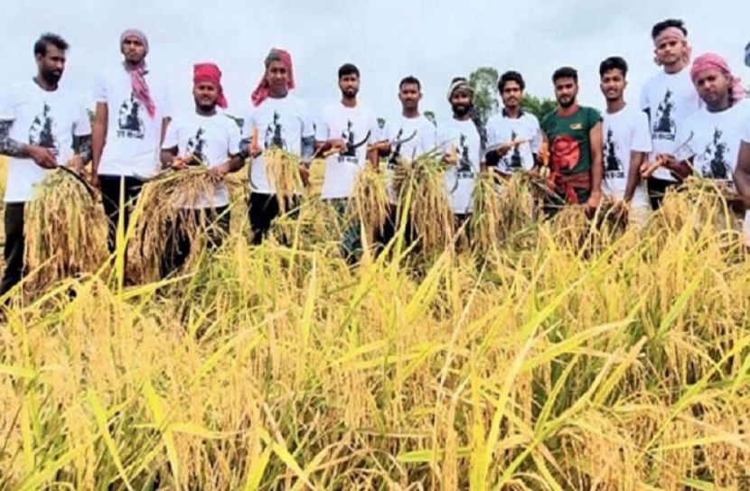 নেতাকর্মীদের ধান কেটে দেওয়ার আহ্বান