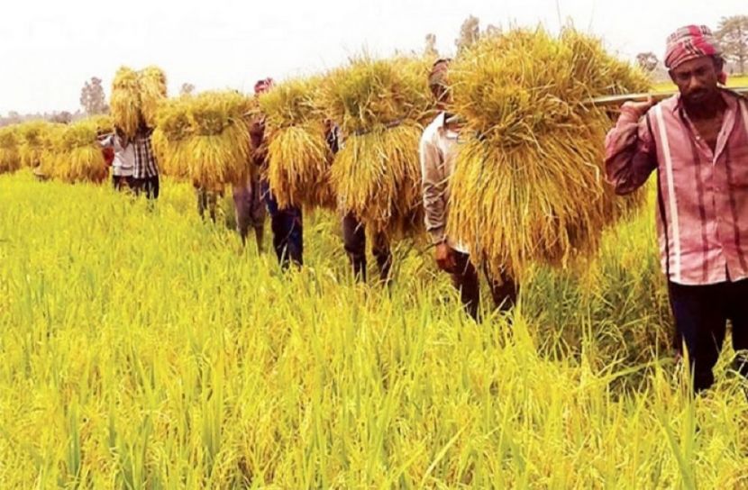 ফাইল ছবি