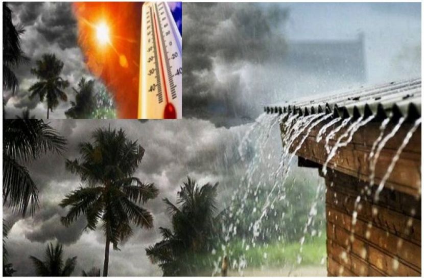 ছবি : সংগৃহিত