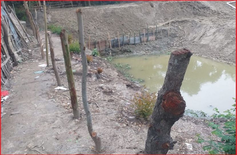 ছবি : সংগৃহিত