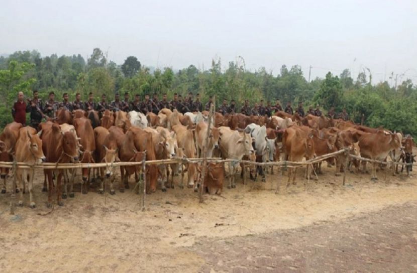 ছবি-সংগৃহীত
