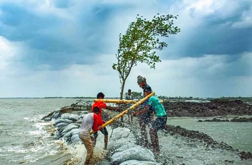 ফাইল ছবি