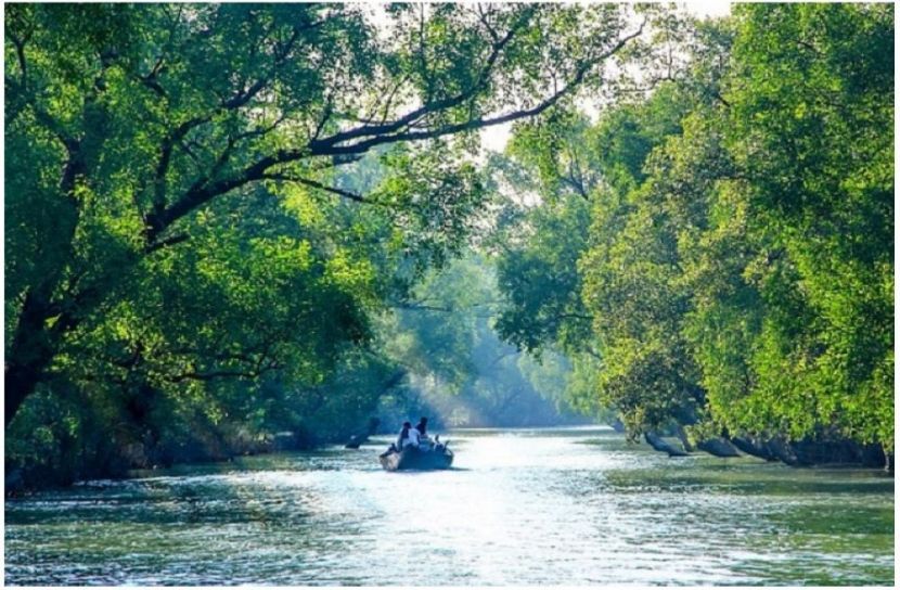 ছবি : সংগৃহিত