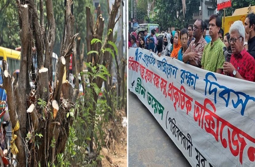 ছবি-সংগৃহীত
