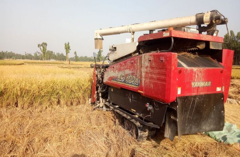 ধান ক্ষেতেই হারভেস্টার বন্ধ করে দিল কোম্পানি