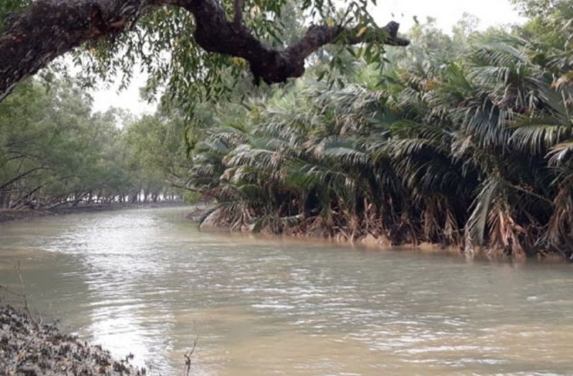সংগৃহীত