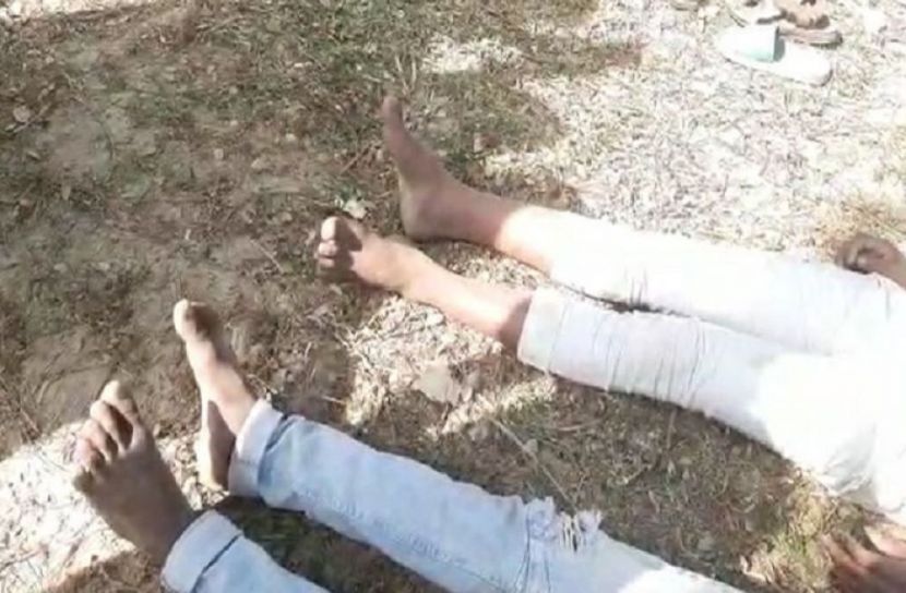 ছবি-সংগৃহীত