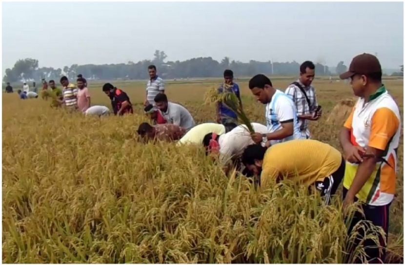 ছবি : সংগৃহিত
