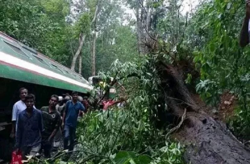 ট্রেন