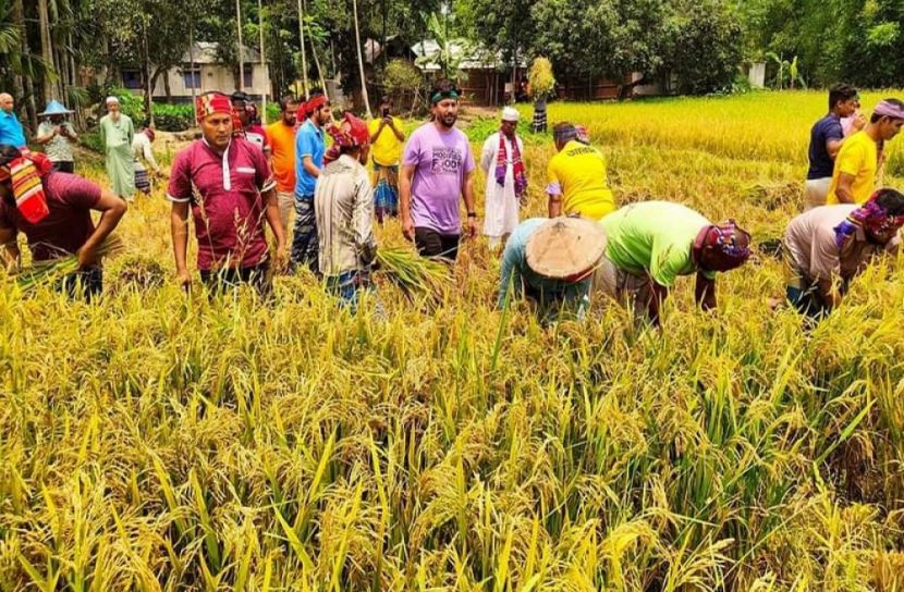 ছবি-সংগৃহীত