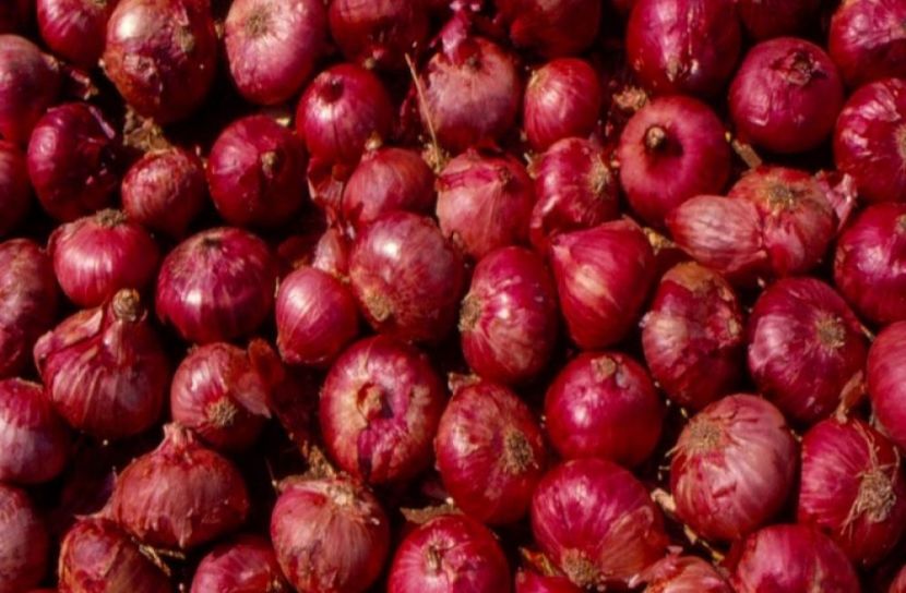 ছবি-সংগৃহীত