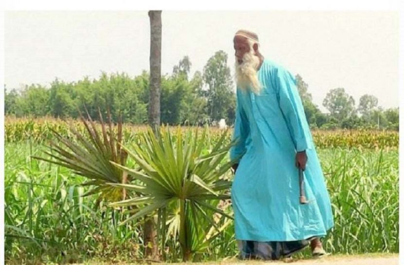 সম্পত্তি বিক্রি করে তালগাছ রোপণ বৃদ্ধার