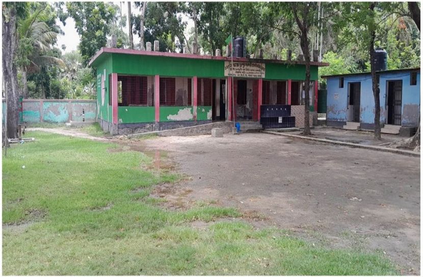 ছবি : সংগৃহিত